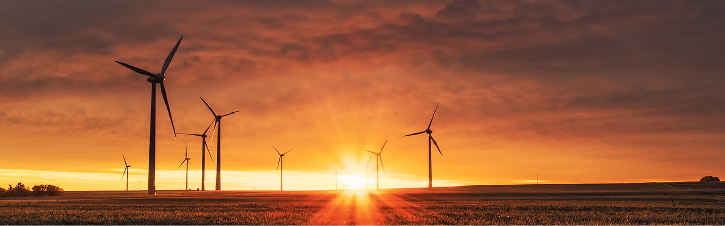Sustainability reporting: From compliance burden to strategic advantage