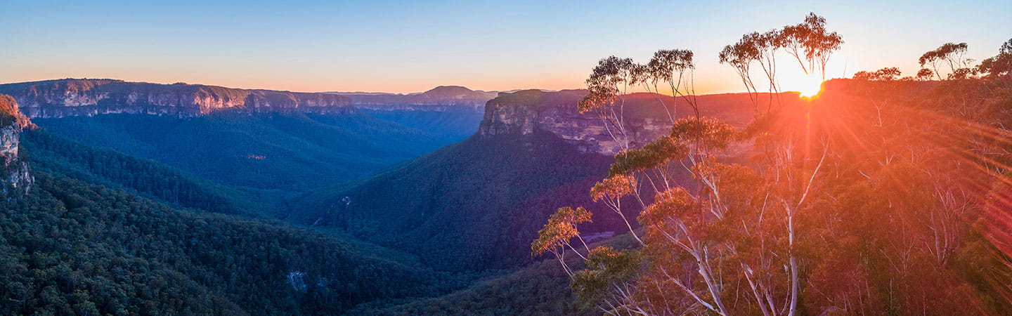 Look out towards Blue Mountains gorge