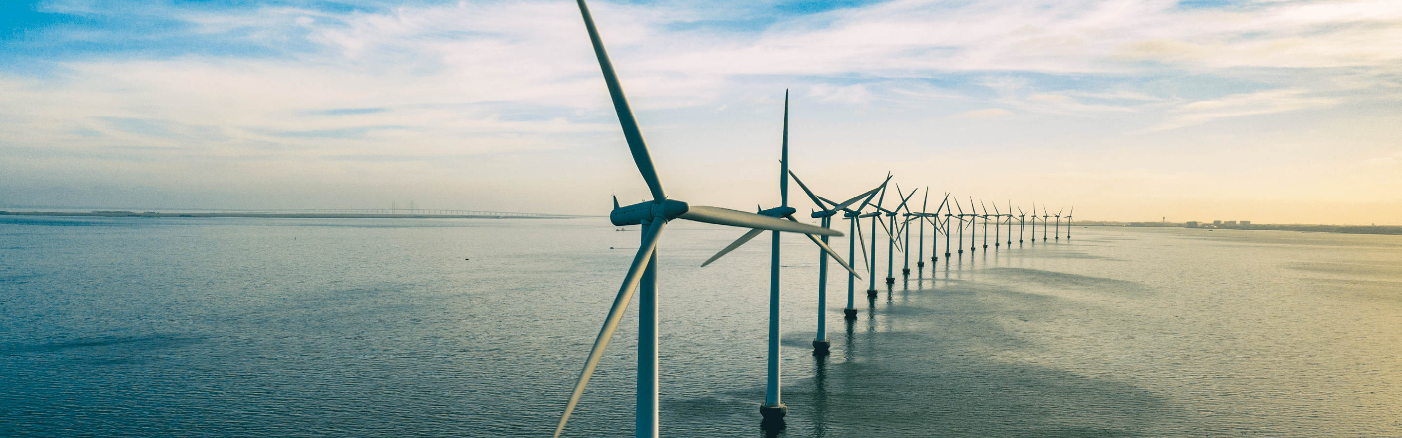 Australia's offshore wind industry: 2024 year in review