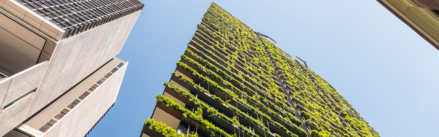 Sustainability Newsletter