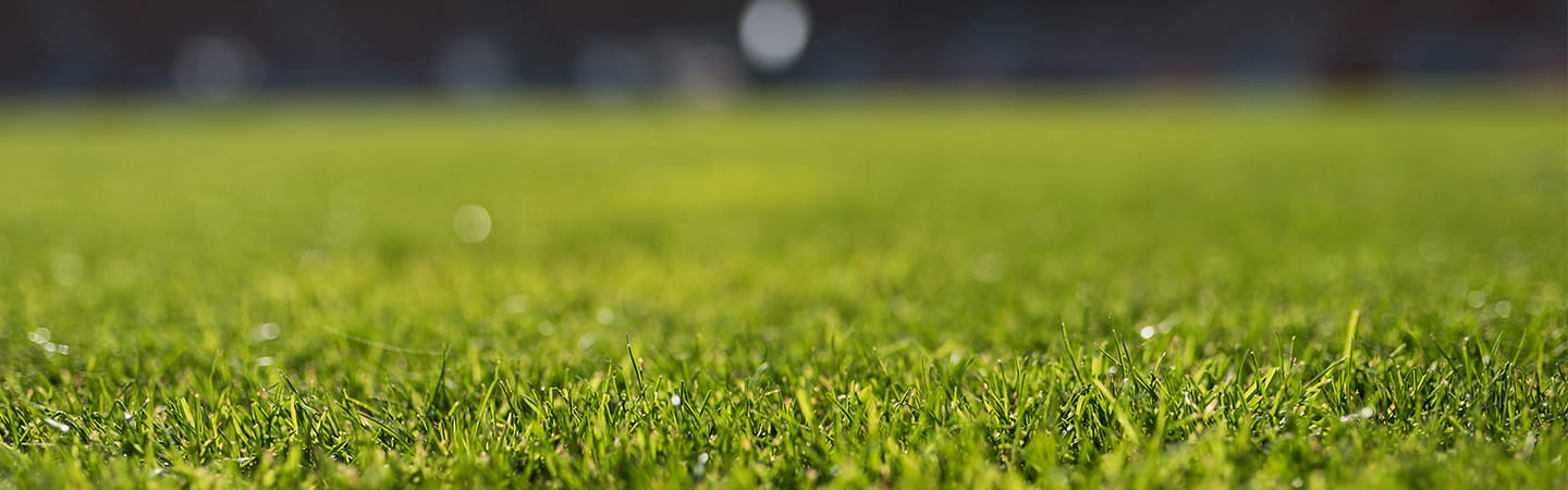 Tackling Financial Crime in Football