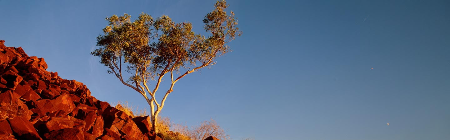 Native title claims with authorisation defects risk strike-out applications