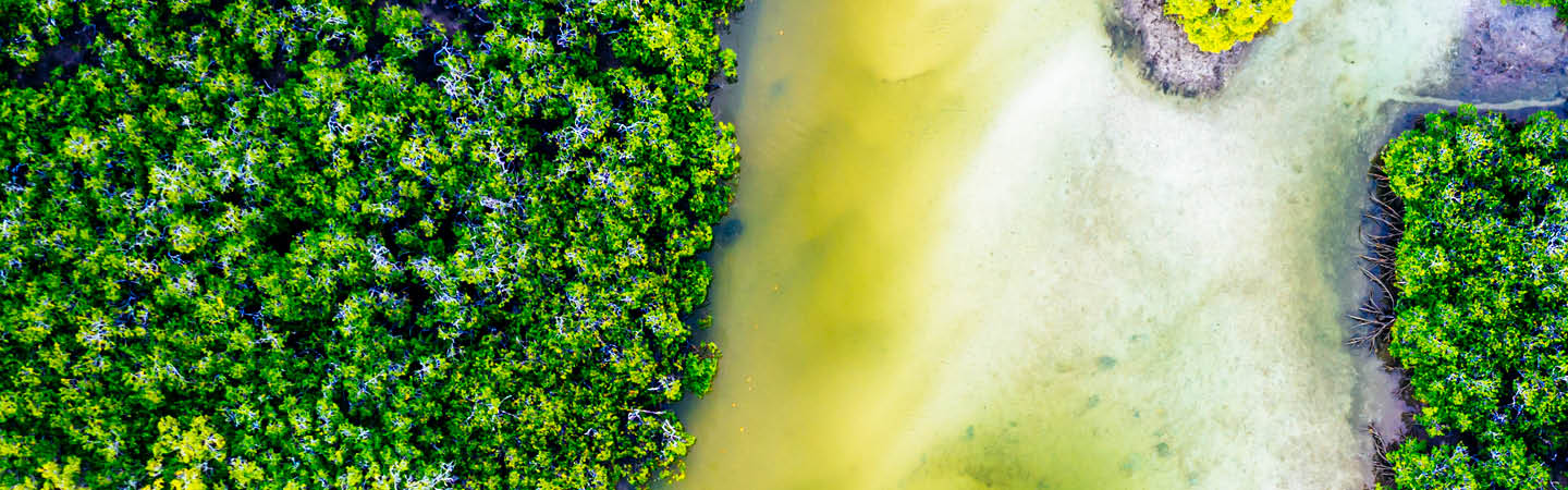 EPBC Act reforms: most significant change to Australia's environmental law in decades 