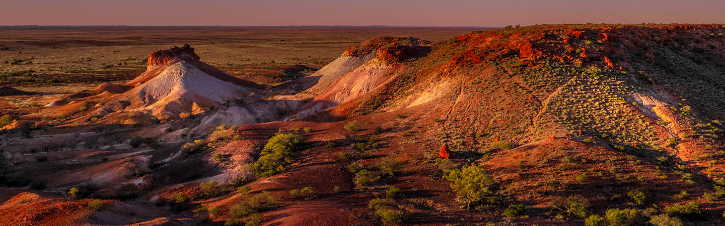 South Australia's new Biodiversity Act: Key changes and next steps