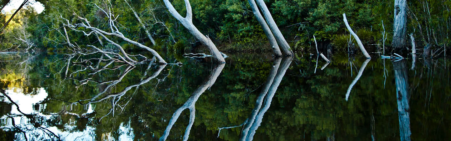 Recent developments in PFAS regulation around Australia