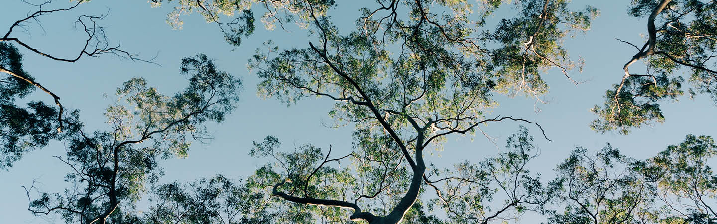 Queensland environmental reform continues