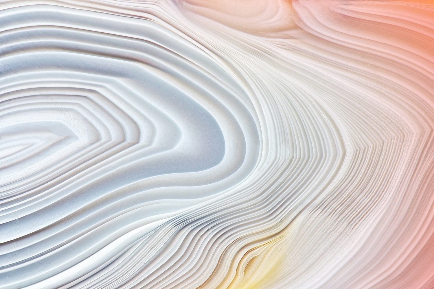 Ed Ashurst Sustainability & Climate Transition Plan Assessment Solution | Ashurst ...