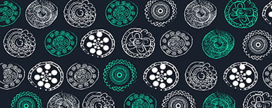 First Nations artwork in white and teal on dark navy.