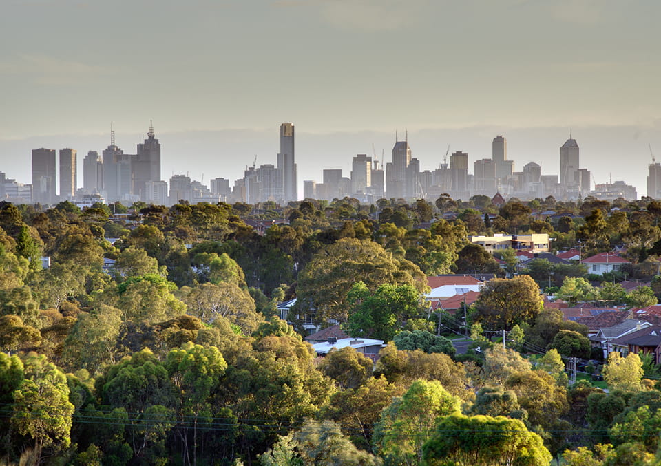 Melbourne city skyline seen from leafy suburban hills with eucalyptus canopy and rooftops in the foreground