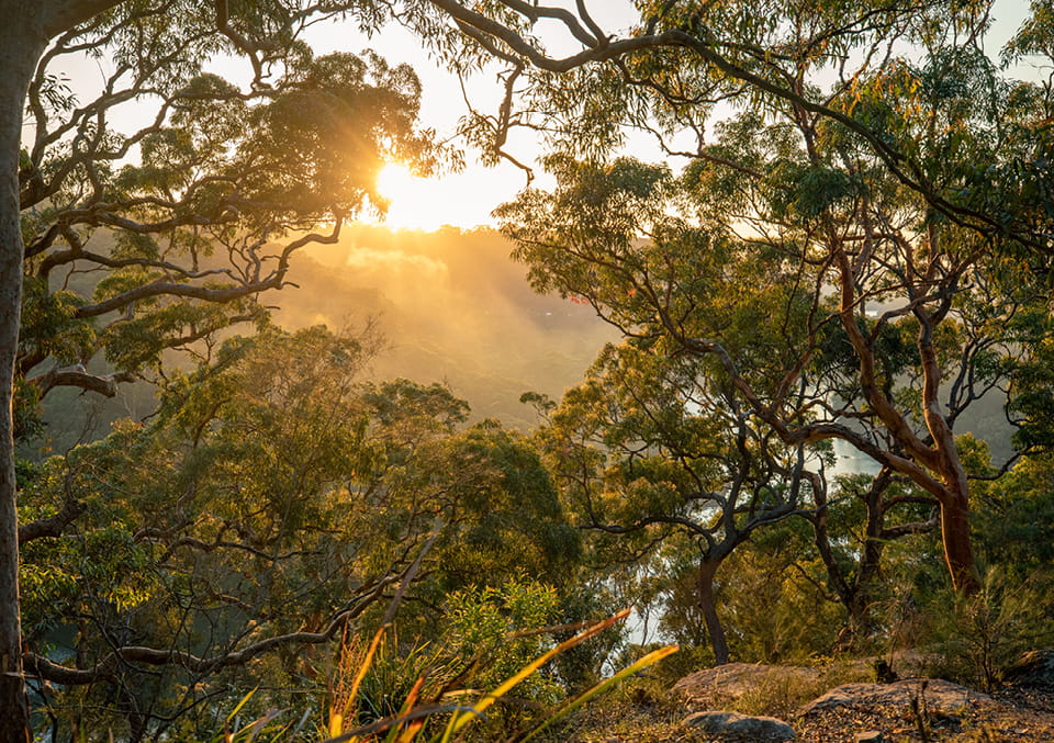 Aboriginal cultural heritage reform around Australia in 2025-2026