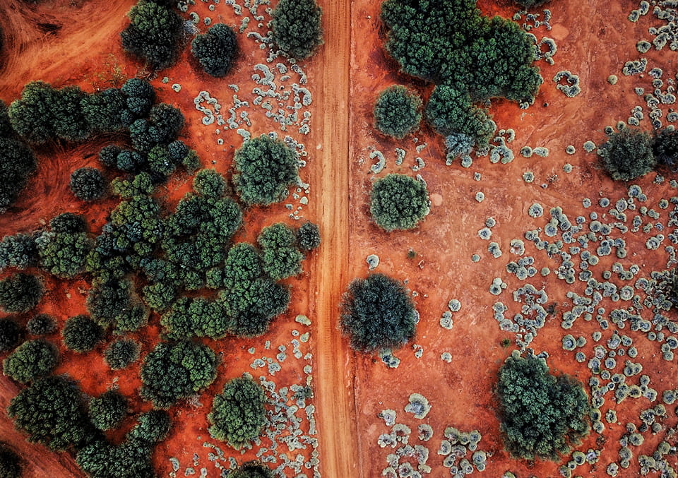 Aerial view of a red dirt road through outback country dotted with trees and spinifex.