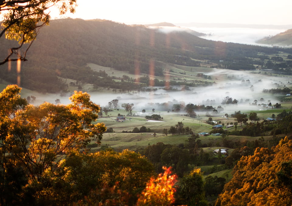Sunrise over a misty green valley with rolling hills, farmhouses and eucalyptus trees glowing in warm light.