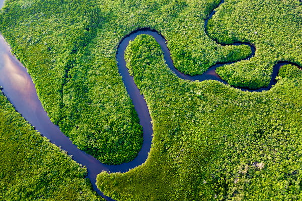 Aerial view of a dark river forming S-shaped bends through dense green rainforest.