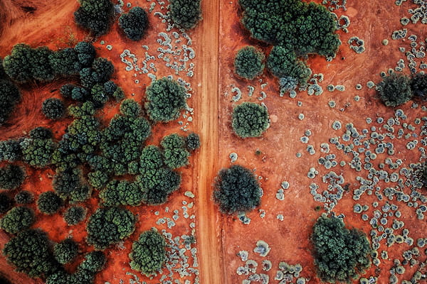 Aerial view of a red dirt road through outback country dotted with trees and spinifex.
