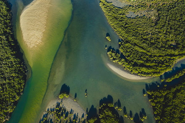 Aerial view of shallow turquoise water winding between sandbanks and green mangroves in a river estuary.