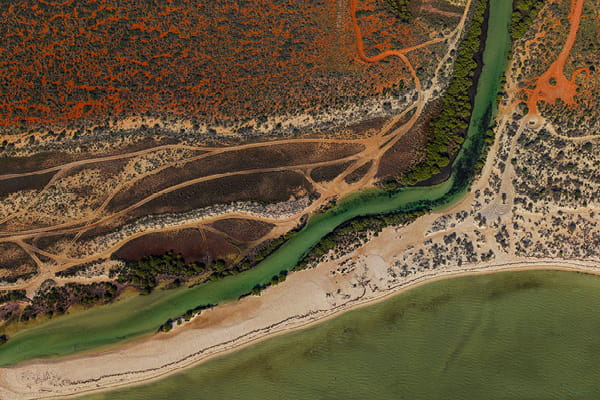 Aerial view of a green tidal channel winding through red outback country and mangroves to a sandy beach and the sea.