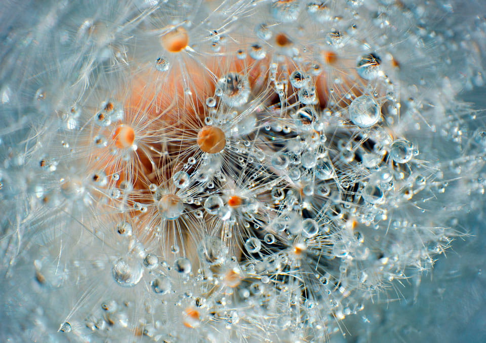 Abstract image