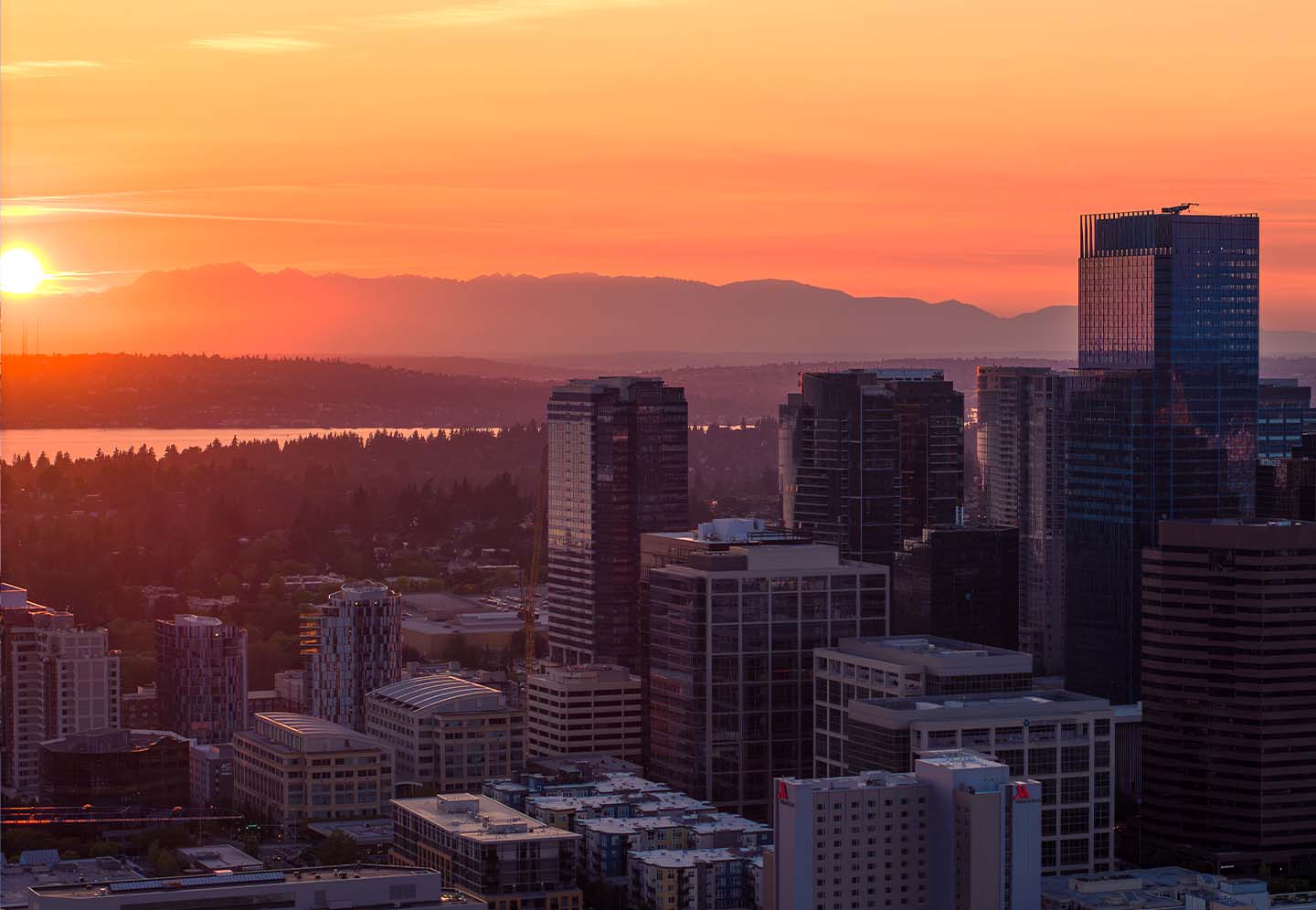 Bellevue
