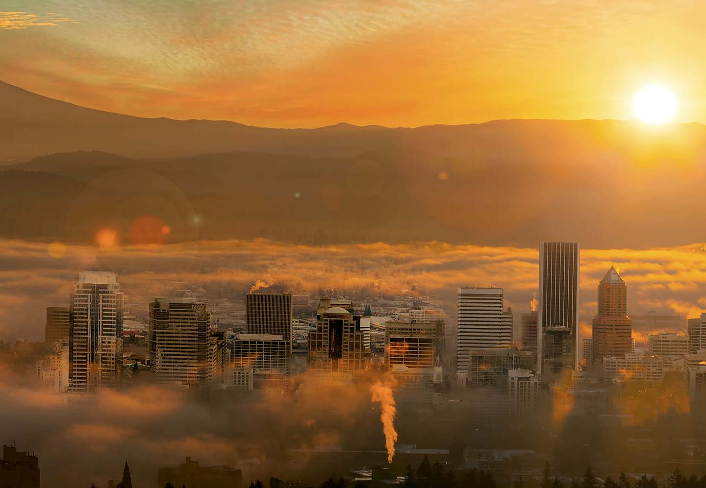 Portland
