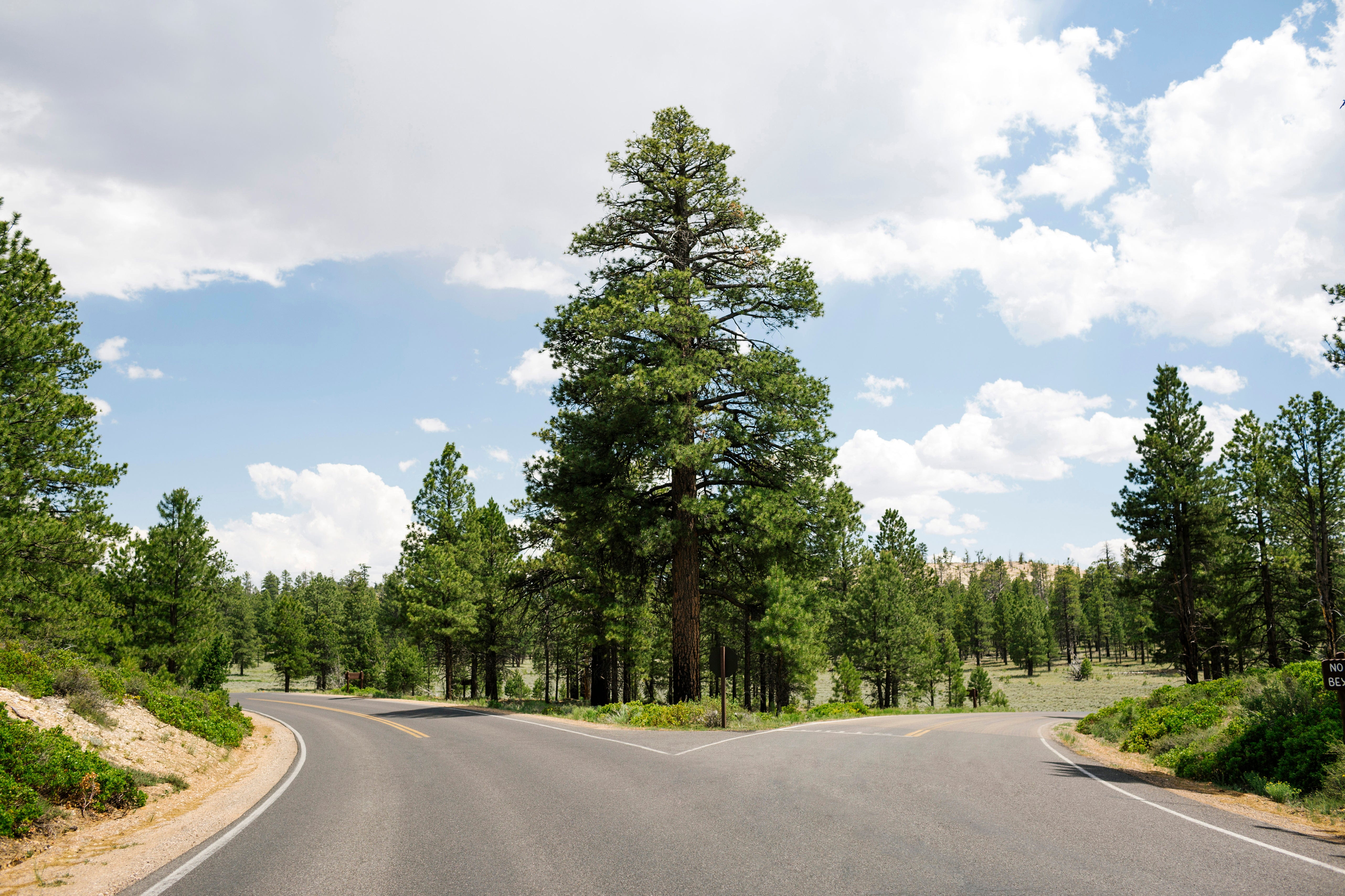 State Control of Injection Well Permitting Stays in Focus Amid Legal Challenges Over CCS Infrastructure