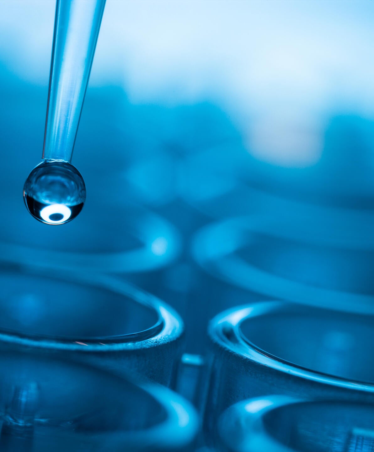 Court of Appeal Affirms EIR Water Supply Analysis for Major Industrial Warehouse Project