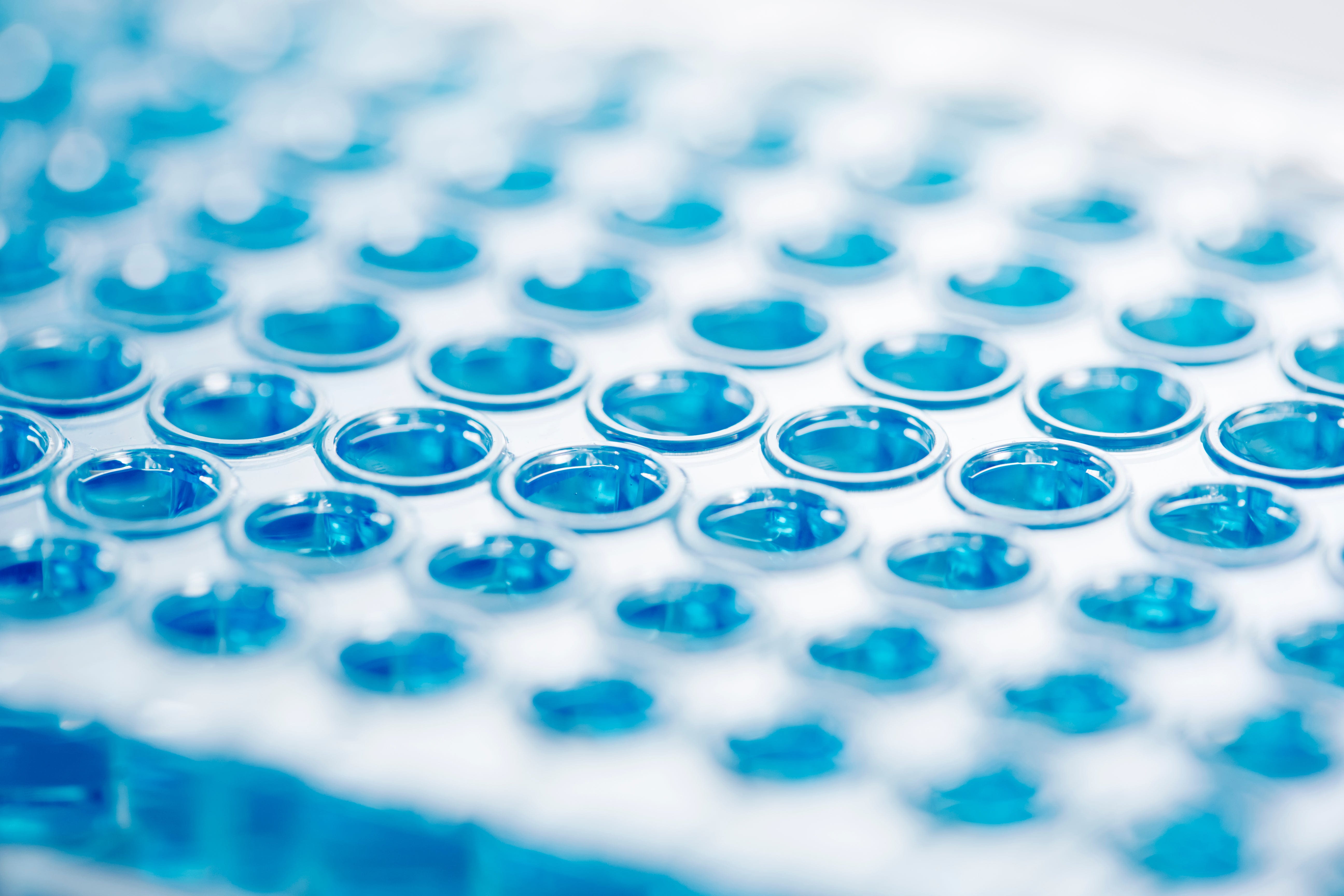 Pharmaceutical Antitrust on Both Sides of the Pond