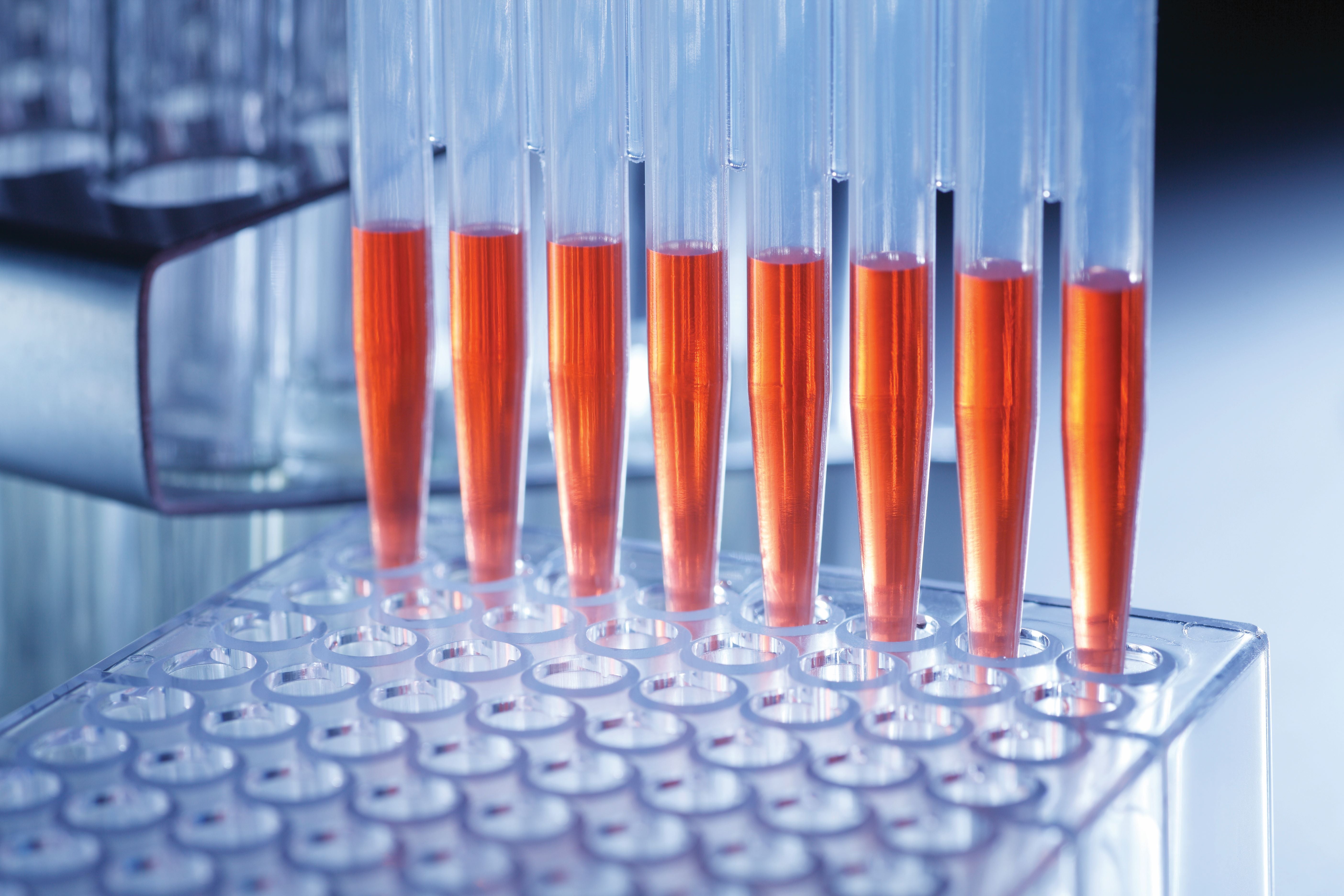 20th Annual Wisconsin Stem Cell Symposium