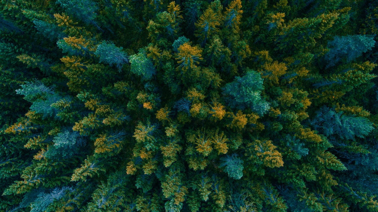 California Climate Disclosure Laws Update
